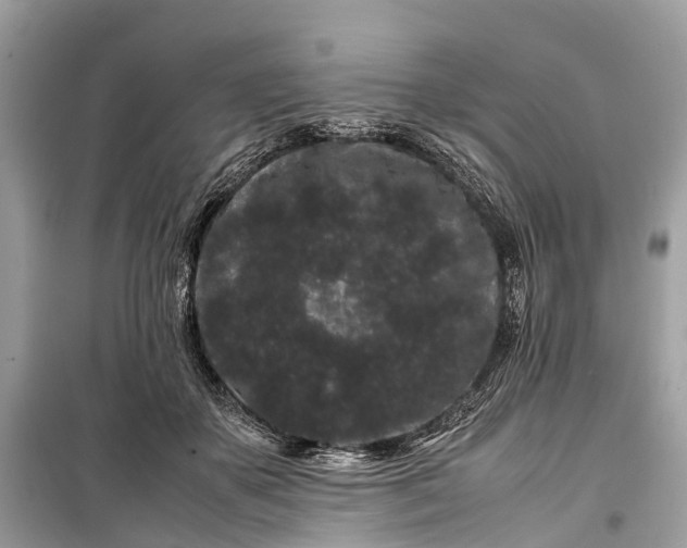 X0000099310507200805161416