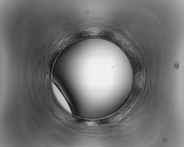 X0000099310509200805161416