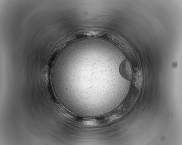 X0000099310510200805161416