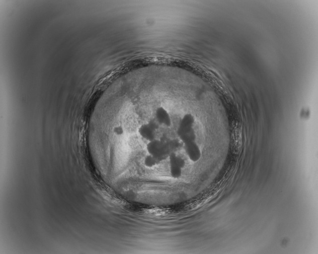 X0000099310511200805161416