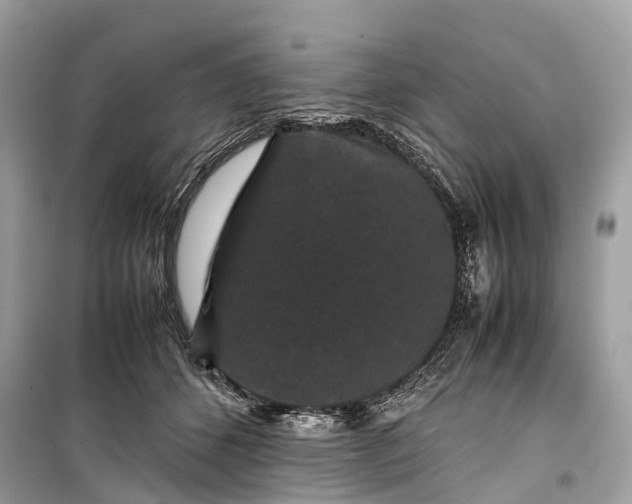 X0000099310512200805161416