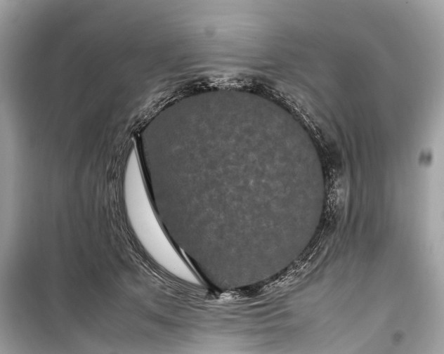 X0000099310513200805161416