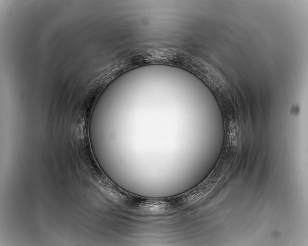 X0000099310514200805161416