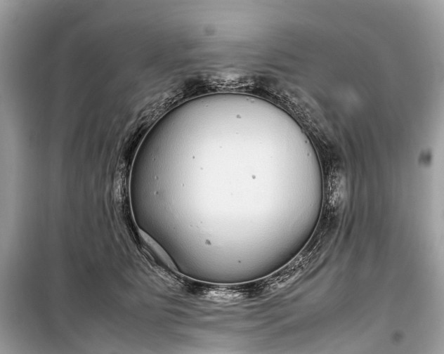 X0000099310515200805161416