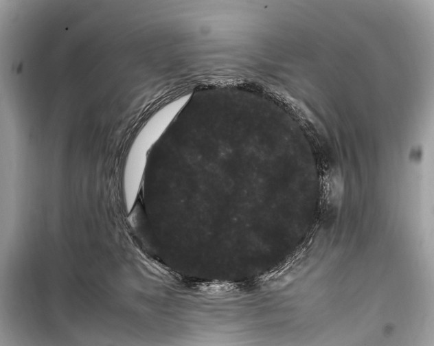 X0000099310517200805161416