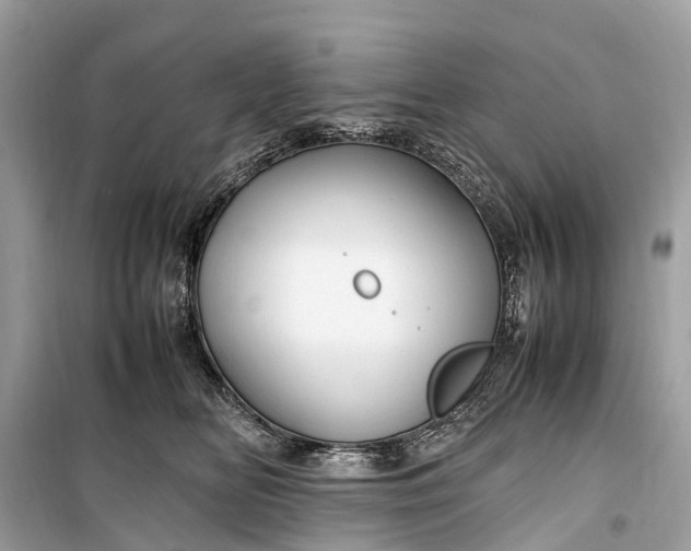 X0000099310518200805161416