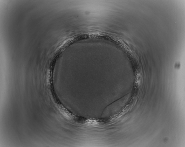 X0000099310519200805161416