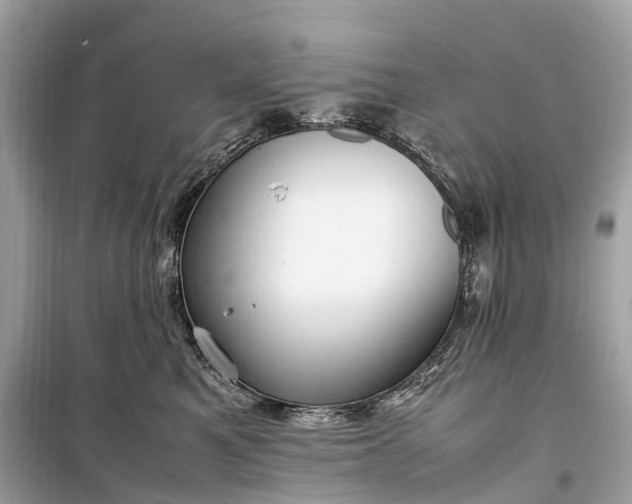 X0000099310521200805161416