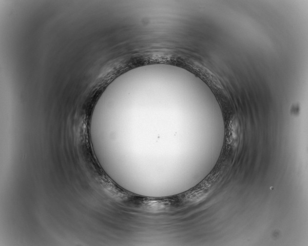 X0000099310522200805161416