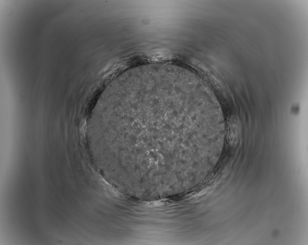 X0000099310523200805161416