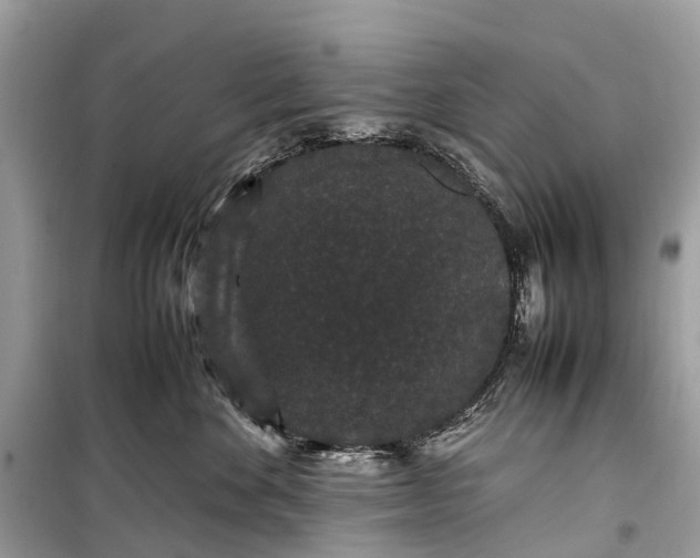 X0000099310524200805161416