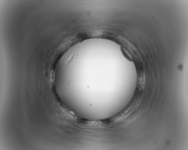 X0000099310525200805161416