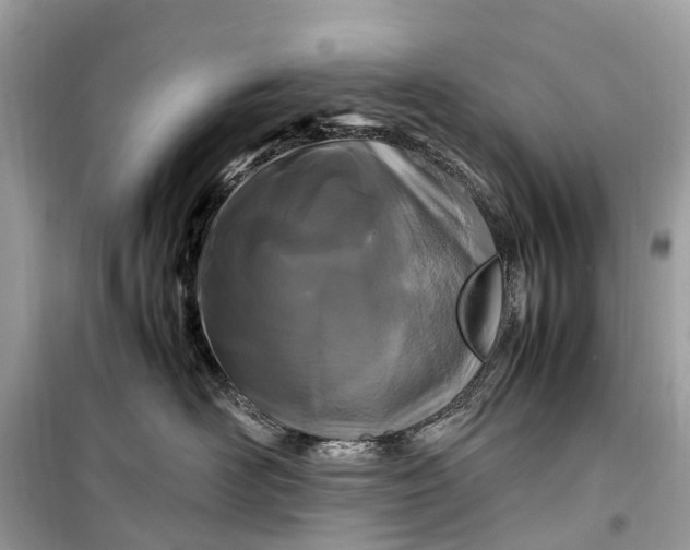 X0000099310526200805161416