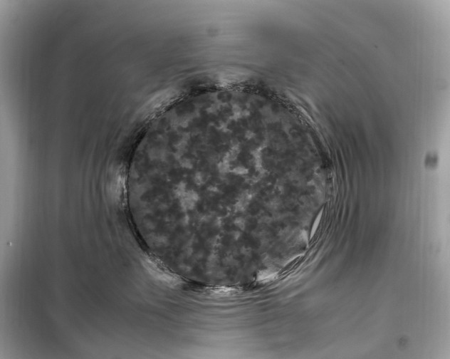 X0000099310527200805161416