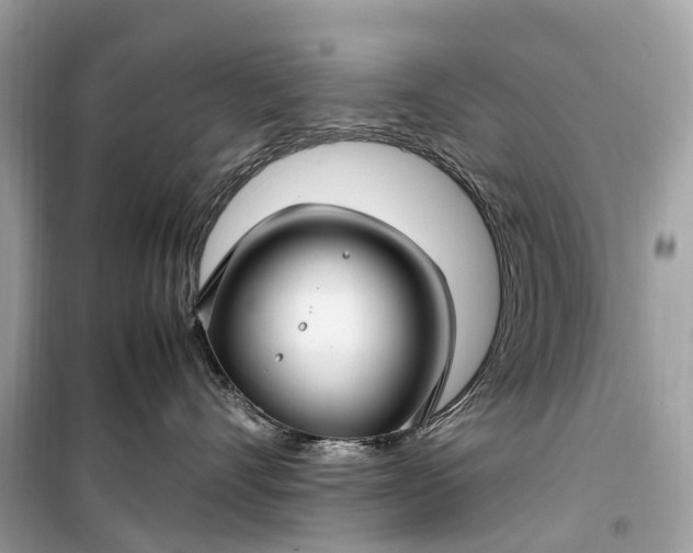 X0000099310528200805161416