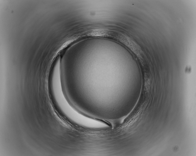 X0000099310530200805161415