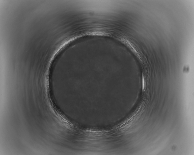 X0000099310531200805161415