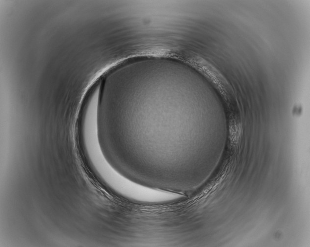 X0000099310532200805161415