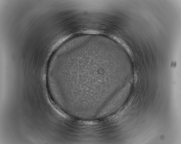 X0000099310533200805161415