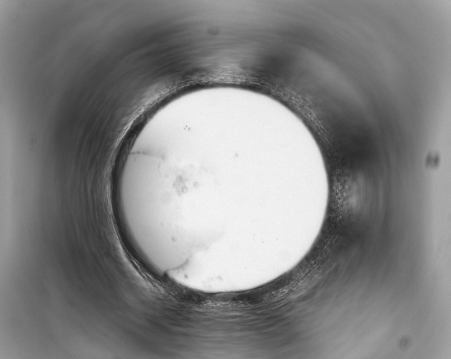 X0000099310534200805161415