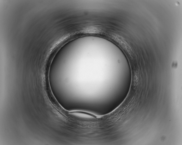 X0000099310535200805161415