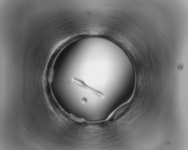 X0000099310536200805161415