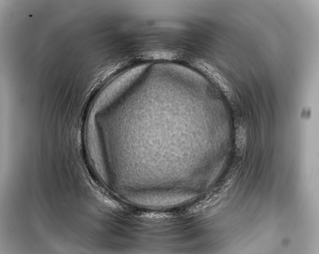 X0000099310537200805161415