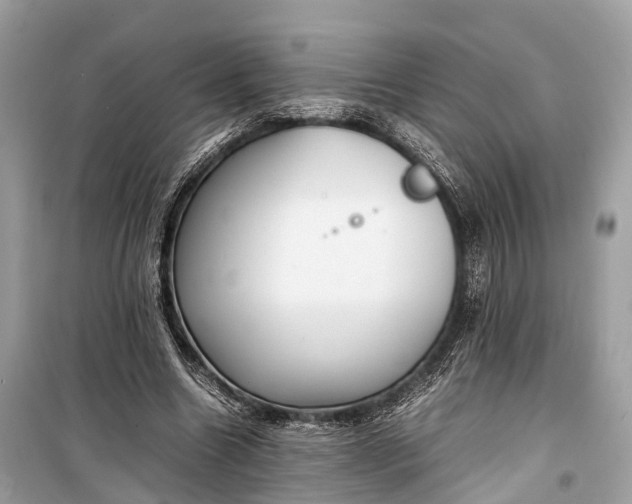 X0000099310538200805161415