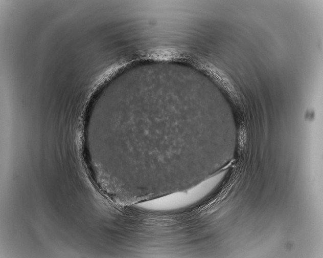 X0000099310540200805161415