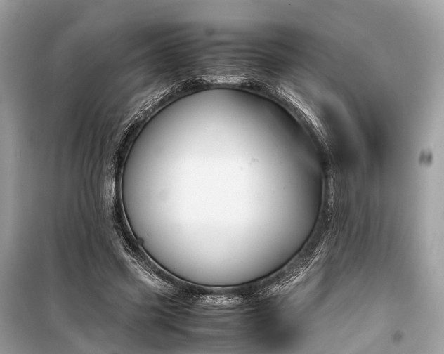 X0000099310541200805161415