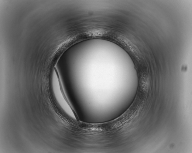 X0000099310543200805161415