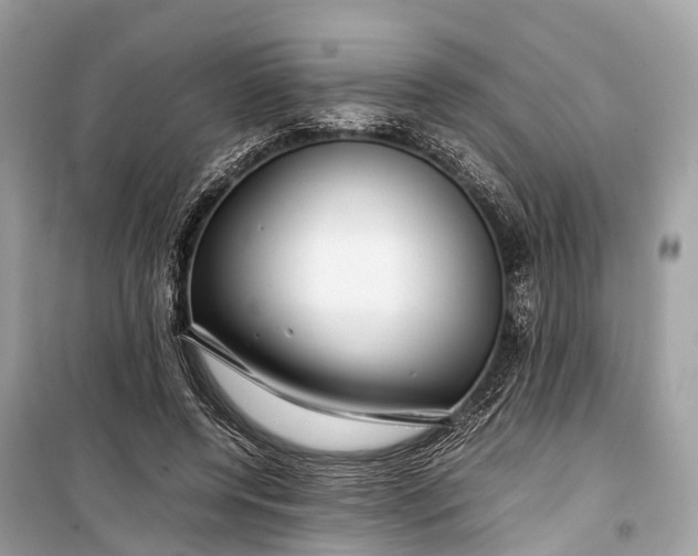 X0000099310544200805161415