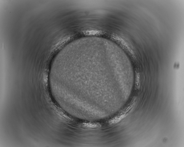 X0000099310545200805161415