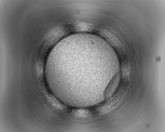 X0000099310546200805161415