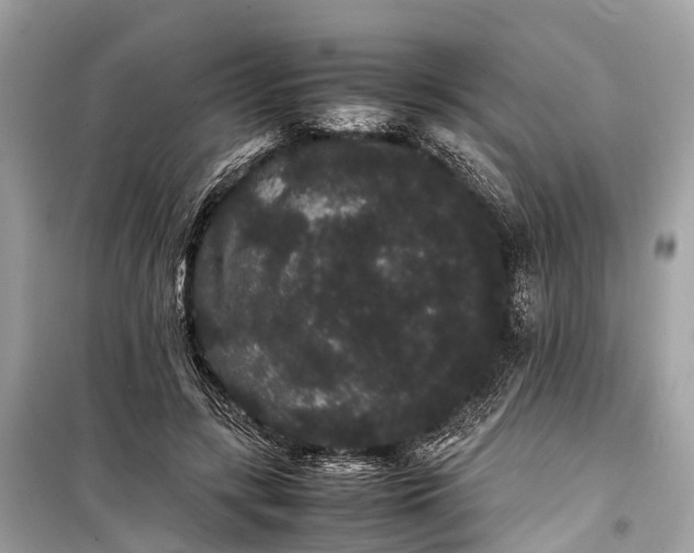 X0000099310547200805161415