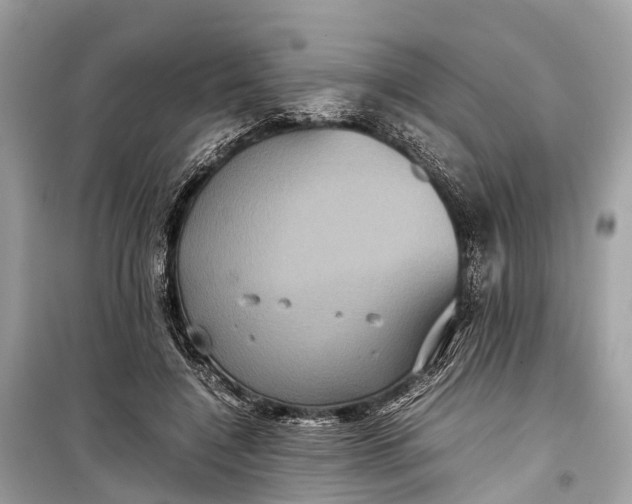 X0000099310548200805161415