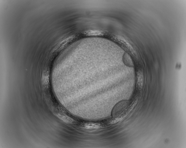 X0000099310549200805161415