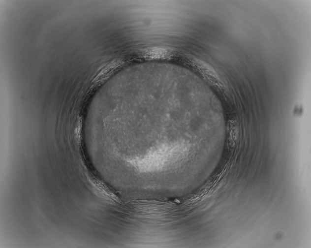 X0000099310550200805161415