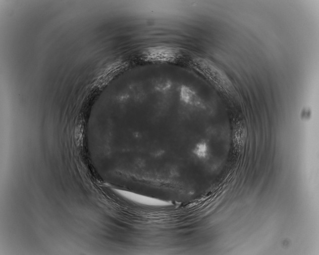 X0000099310551200805161415