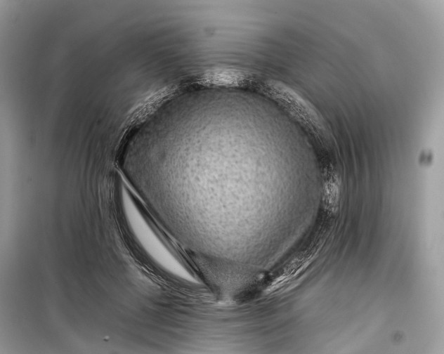 X0000099310552200805161415