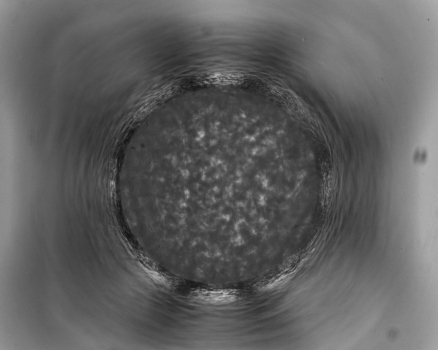 X0000099310553200805161415