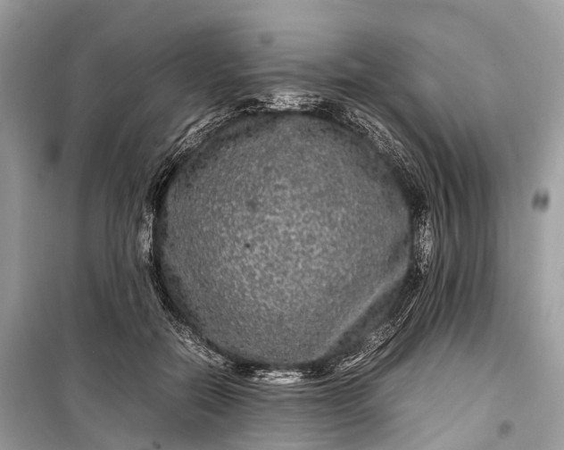 X0000099310554200805161415