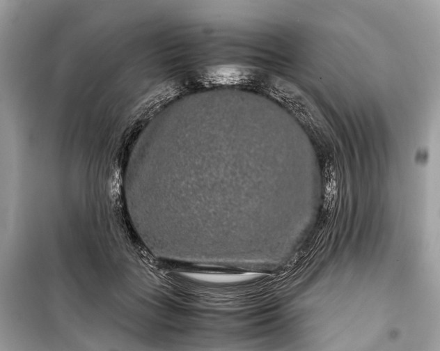 X0000099310555200805161415