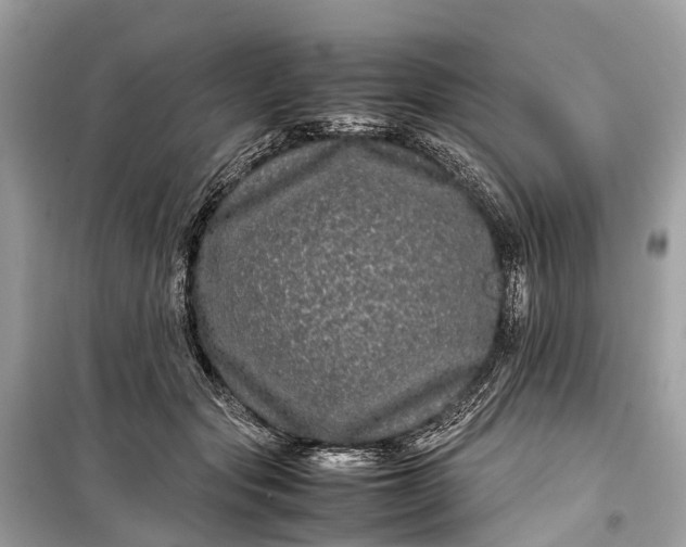 X0000099310557200805161415