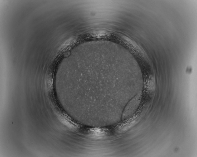 X0000099310558200805161415