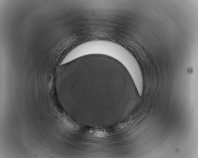 X0000099310559200805161415