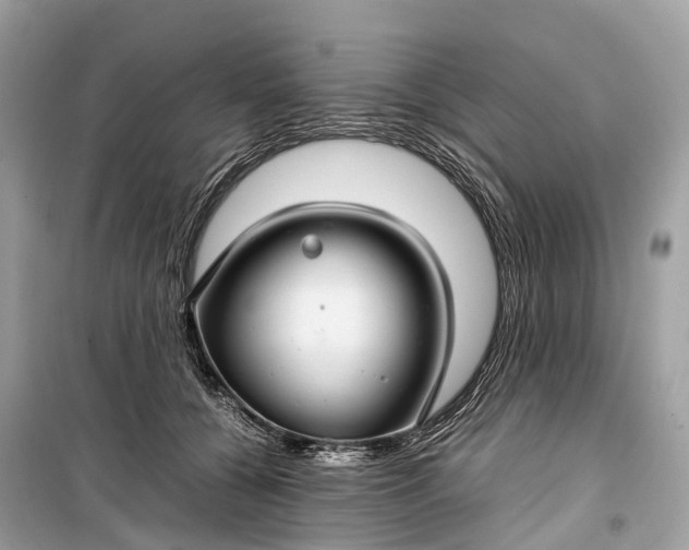 X0000099310560200805161415