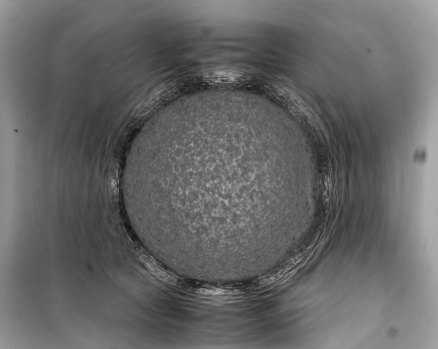 X0000099310561200805161415