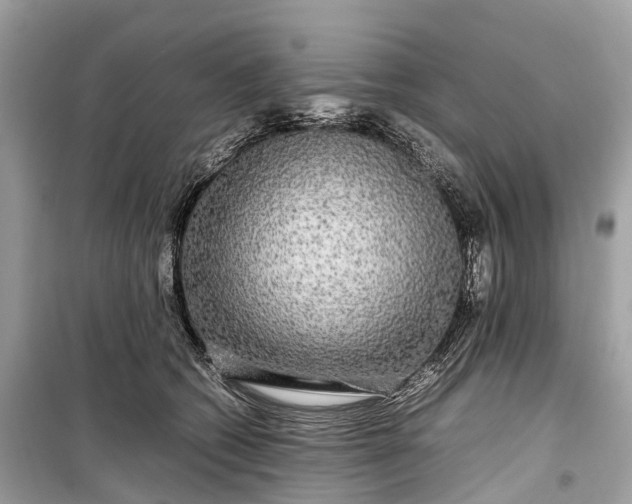 X0000099310562200805161415