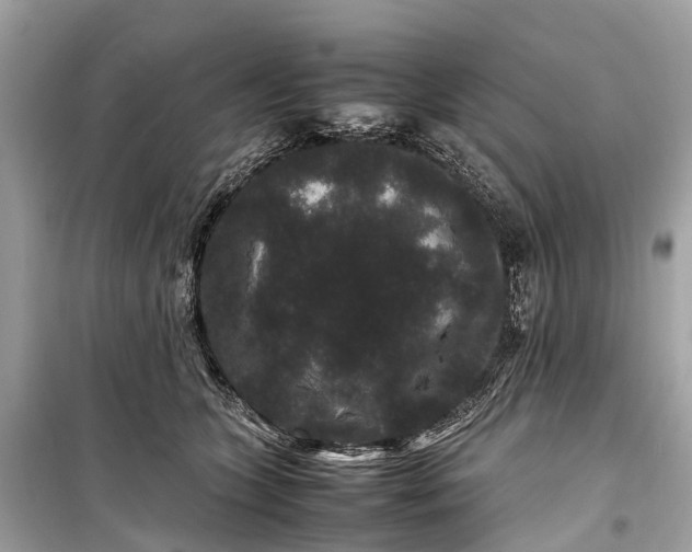 X0000099310563200805161415